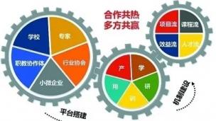 小学科学组工作室